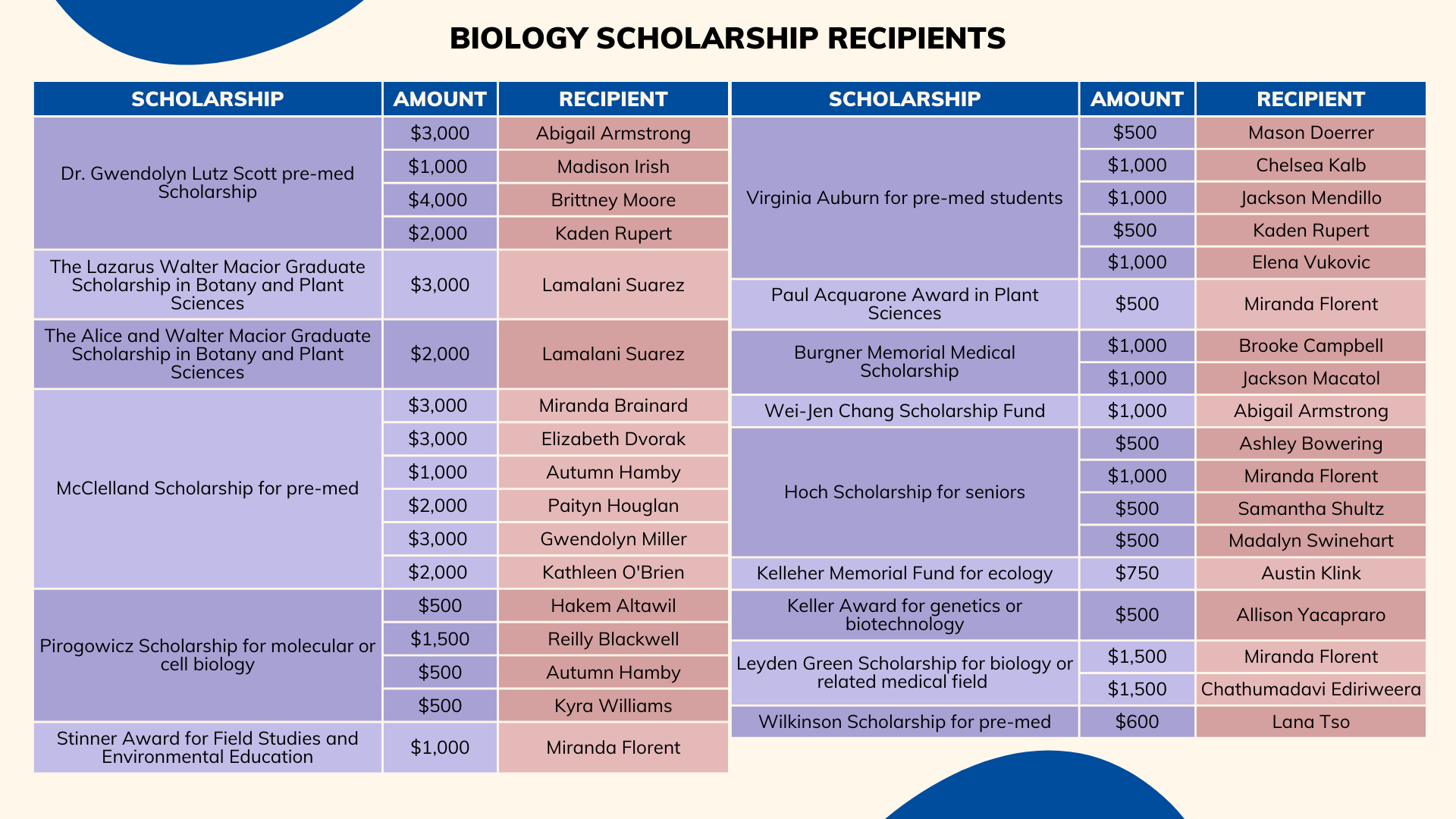 2023 Scholarships Instagram (Video).png